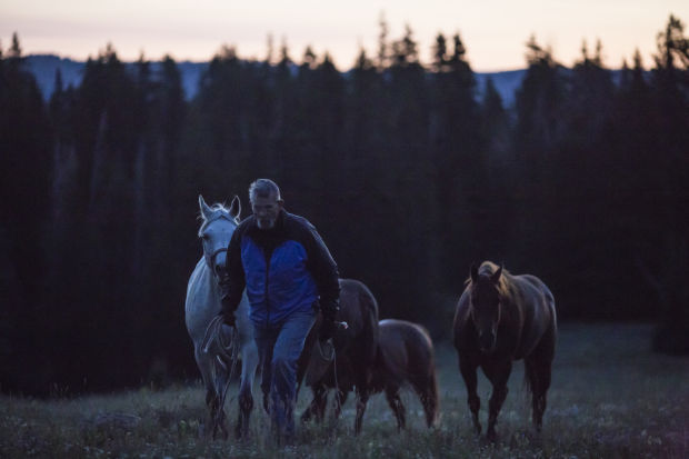 Gros Ventre Wilderness